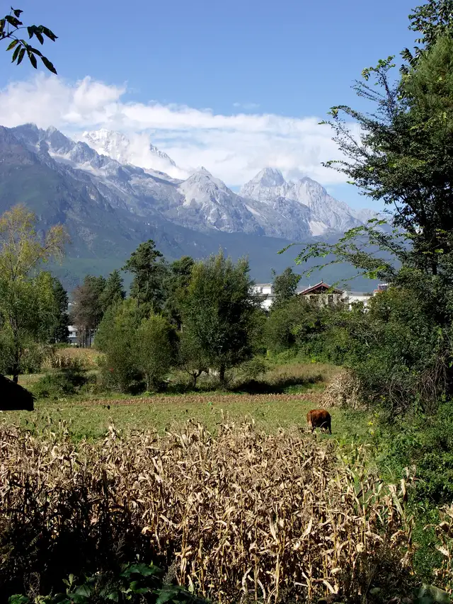 Baisha village · 白沙古镇