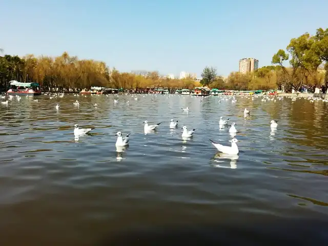 Green Lake Park · 翠湖公园
