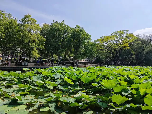Green Lake Park · 翠湖公园
