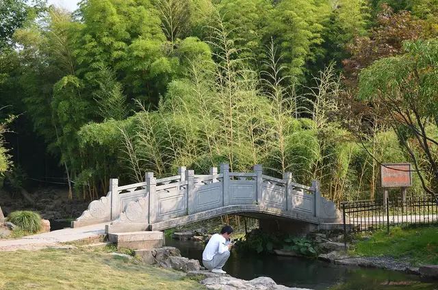 Xixi Wetland · 西溪湿地