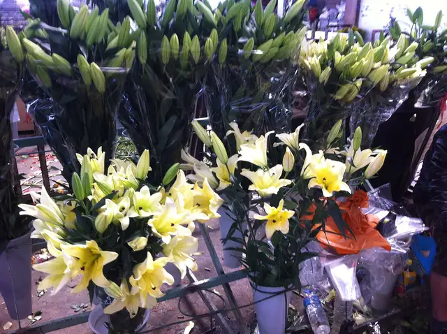 Dounan Flower Market · 斗南花市