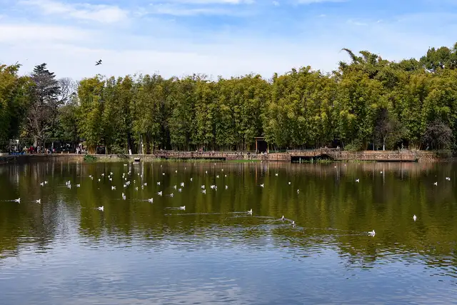 Green Lake Park · 翠湖公园