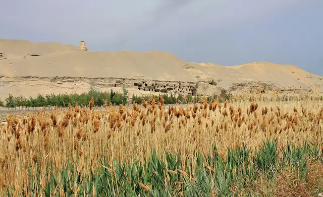Mogao Caves · 莫高窟