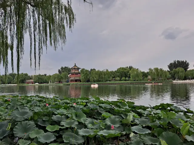 Houhai and the hutongs · 后海