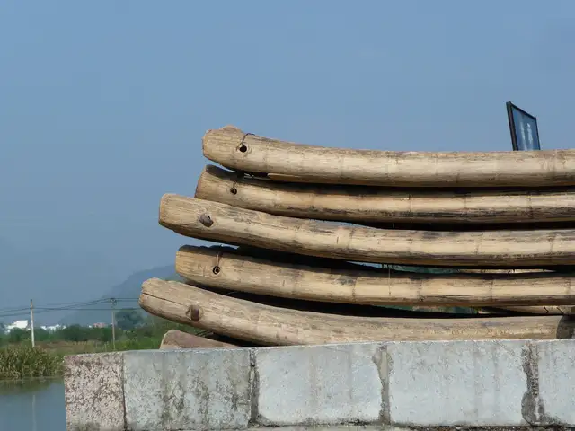 Yulong River · 遇龙河