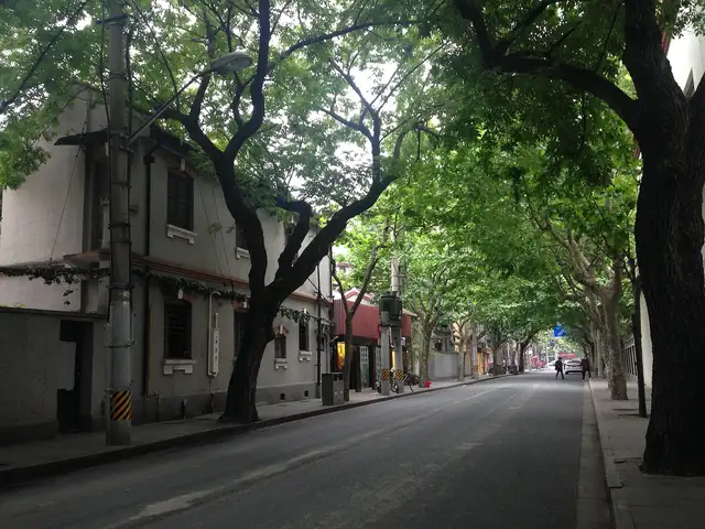 Wukang Road · 武康路