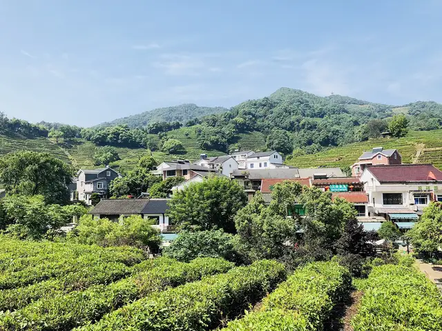 Longjing tea village · 龙井村