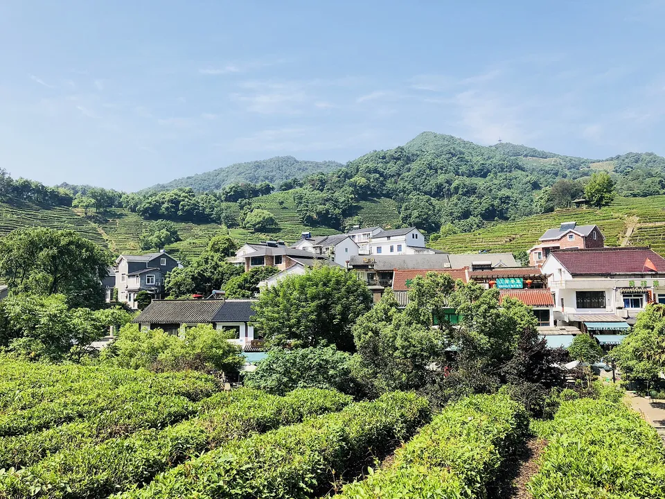 Longjing tea village · 龙井村