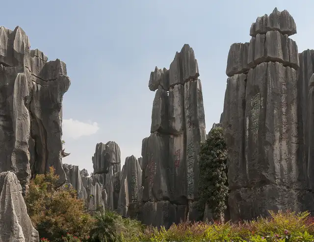 Stone Forest · 石林