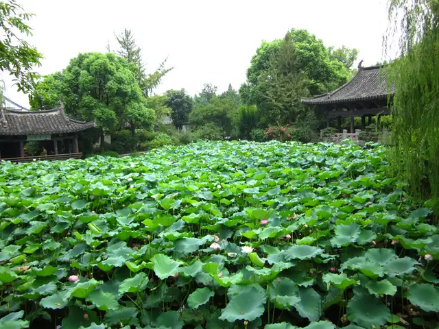 Shen Garden · 沈园