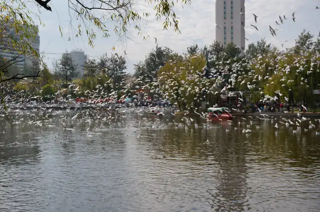 Green Lake Park · 翠湖公园