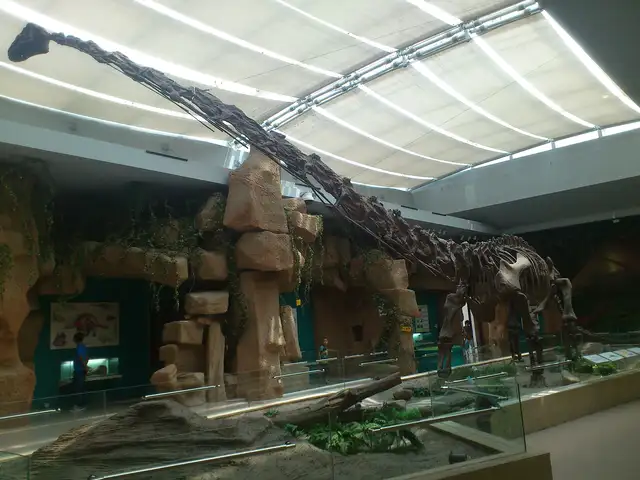 Gansu Provincial Museum · 甘肃省博物馆