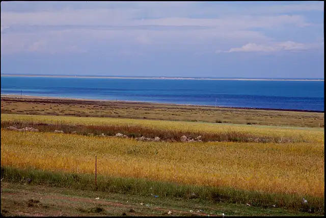 Qinghai Lake · 青海湖