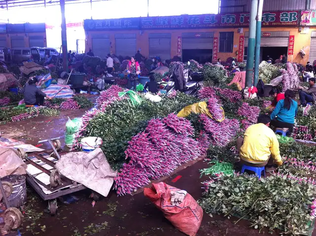 Dounan Flower Market · 斗南花市