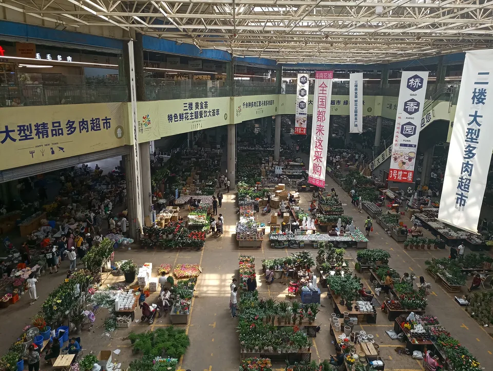 Dounan Flower Market · 斗南花市