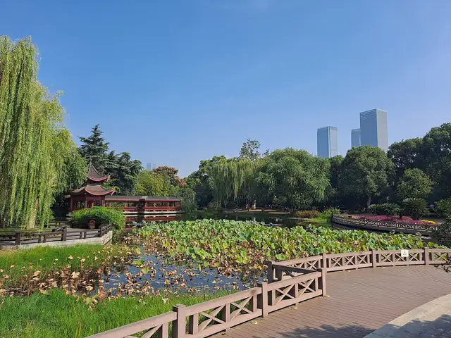Orange Isle · 橘子洲