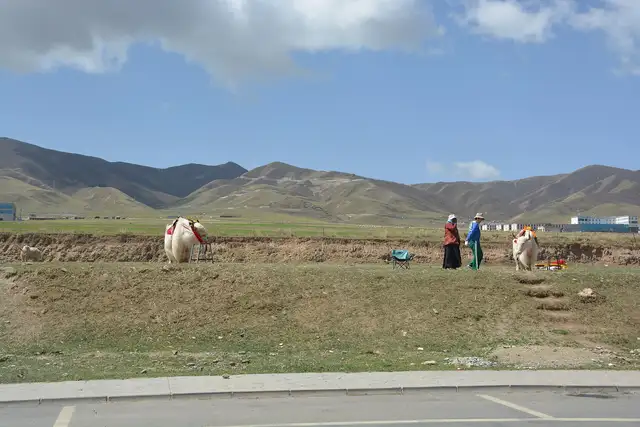 Qinghai Lake · 青海湖