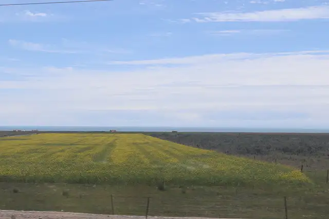 Qinghai Lake · 青海湖